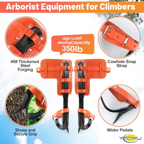 Professional Tree Climbing Spikes Set – Height-Adjustable Climbing Spurs | 350lb Load Rating Tree Climbing Gear, Includes Rope & Straps for Arborists, Hunters, Fruit Harvesting