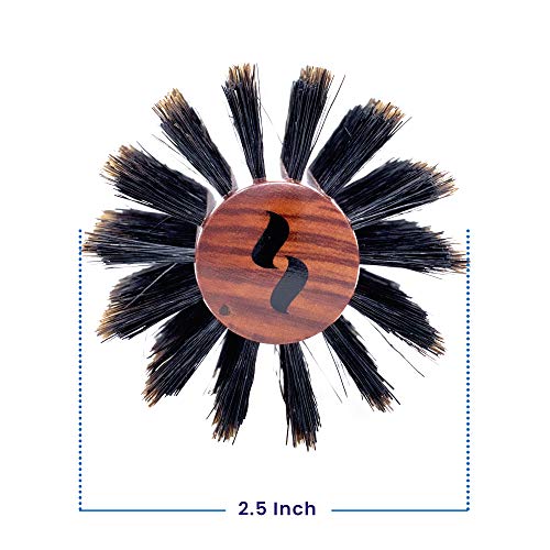 Spornette DeVille Boar Bristle Round Brush Set - Professional Hair Brushes Including 1.5, 2, and 2.5 inch Sizes - For Women, Men, & Kids - size: Set of 3 (1.5, 2, 2.5 Inch)