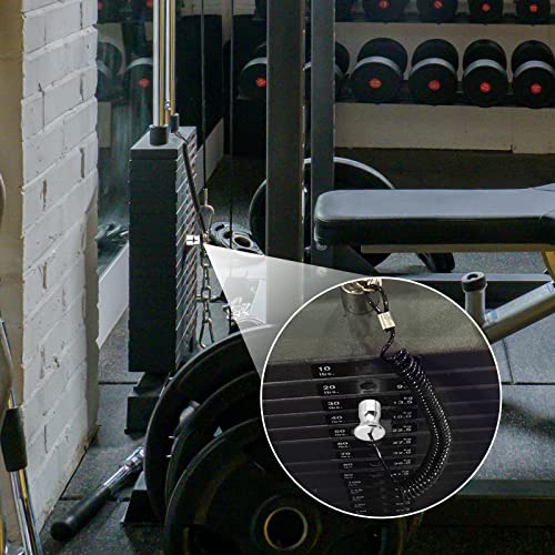Cosmos Gym Weight Stack Pin Universal Replacement Selector Lock Pin Detent Hitch Pin, Tensile 3/8" Dia. & 4" Locking Space with Lanyard, for Gym Equipment Machine Weight Plate - color: Silver Tone Knob