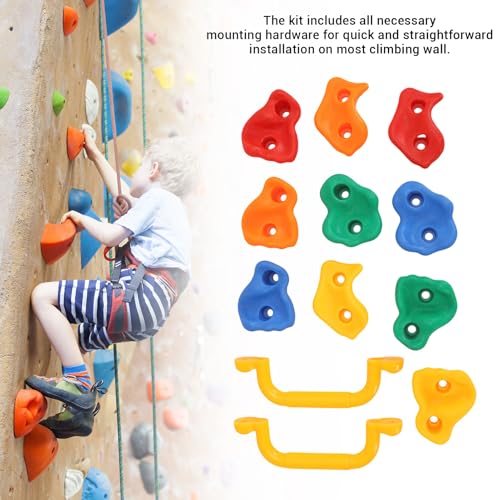 Rock Climbing Holds, Rock Wall Holds Climbing Grips Kit for Kids Indoor Outdoor, layground Play Set, Includes 2 Handles and Mounting Hardware