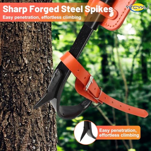 Professional Tree Climbing Spikes Set – Height-Adjustable Climbing Spurs | 350lb Load Rating Tree Climbing Gear, Includes Rope & Straps for Arborists, Hunters, Fruit Harvesting