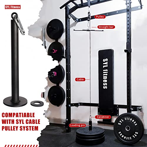 Loading Pin for 1 inch Standard Weight Plates with Carabiner