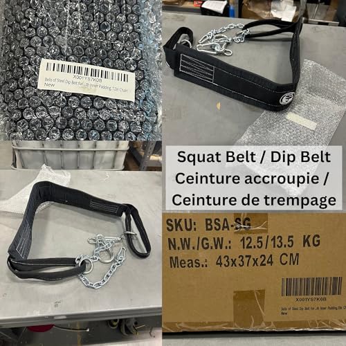 Belt Squat Belt [Bells of Steel] 5in Width for Weight Lifting, 12in Chain Length, Padded, Heavy Duty