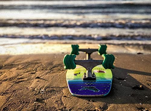 Shark Wheel 60 mm 78a Skateboard Wheels | California Roll | 4-Pack - color: Turquoise