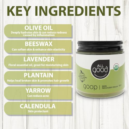All Good Goop Organic Skin Care Recovery Balm - All Purpose Ointment w/Calendula, Lavender, Beeswax - Chafing Cream, Dry Skin Salve, Cracking Lip Moisturizer - Soothes, Hydrates & Calms - 4oz - size: 4 Ounce (Pack of 1)