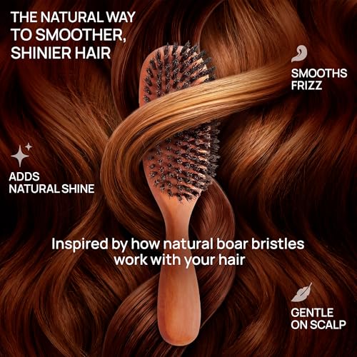 100% Pure Calcutta Boar Bristle Hairbrush for Natural Healthy Hair, Stiff Bristle, Made in Germany's Black Forest - size: Calcutta