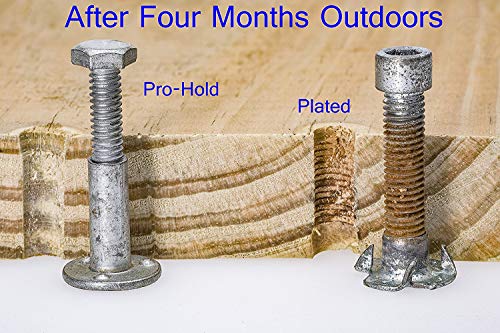 10 Assorted Deluxe Rock Climbing Holds for Kids :: Outdoor Climbing Stones Kit with 20 Swing Safe Fasteners + Drill Bit :: Easy to Install on Lumber from 3/4" to 1.25" Thick - style: 10 Rocks
