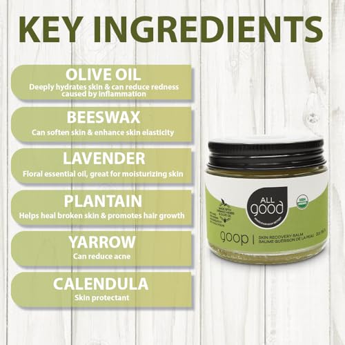 All Good Goop Organic Skin Care Recovery Balm - All Purpose Ointment w/Calendula, Lavender, Beeswax - Chafing Cream, Dry Skin Salve, Cracking Lip Moisturizer - Soothes, Hydrates & Calms - 2oz - size: 2 Ounce (Pack of 1)