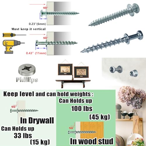 Picture Hanging Kit, Bear Claw Screw Hangers for Wall, 40 | Double-headed bear claw screw hooks for drywall & wood studs. Fit keyholes, D-rings, sawtooth & wire (40, Silver Mix Size) - style: Silver Mix Size
