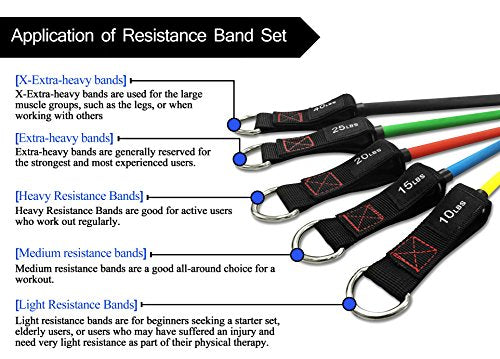 Resistance Bands with Handle Set - for Men and Women, Workout Bands for Strength Exercise, with Handles, Door Anchor & Ankle Straps, for Rehab, Yoga and Fitness