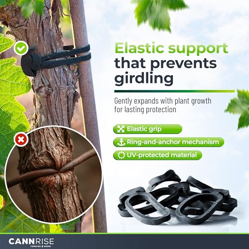 Anchor Bands for Trellising – 110-Pack 5 cm/1.96 in Rubber Vine Ties, UV-Protected Bands: Grapevines, Trees & Climbing Plants – Tool-Free Loop-and-Anchor Design for Install, Weatherproof - size: 110 pack / 1.96"