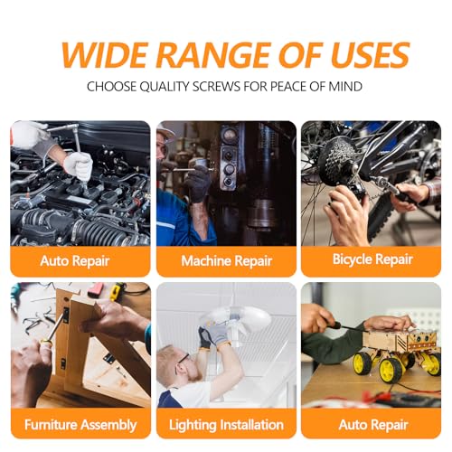 448 pcs M5/M6/M8 Metric Hex Head Socket Cap Bolt & Nut Assortment,304 Stainless Steel Metric Machine Screws, Hex Socket Head Cap Screws Nuts and Bolts Assortment Kit with Flat & Lock Washers - size: M5/M6/M8 - 448PCS