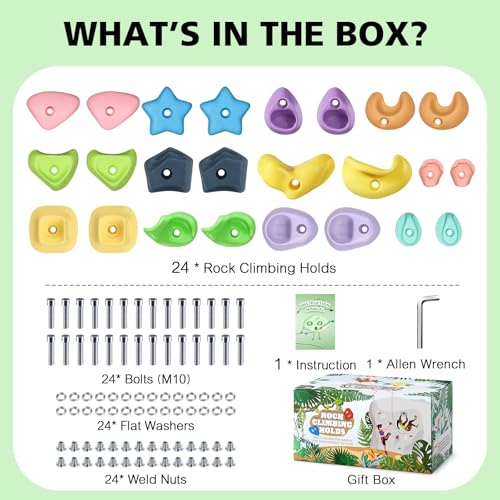 TOPNEW Climbing Holds for Kids, Rock Wall Holds with Hardware - Climbing Rocks for Indoor Outdoor Playground Climbing Wall (24 Pcs) - style: 24 Pcs