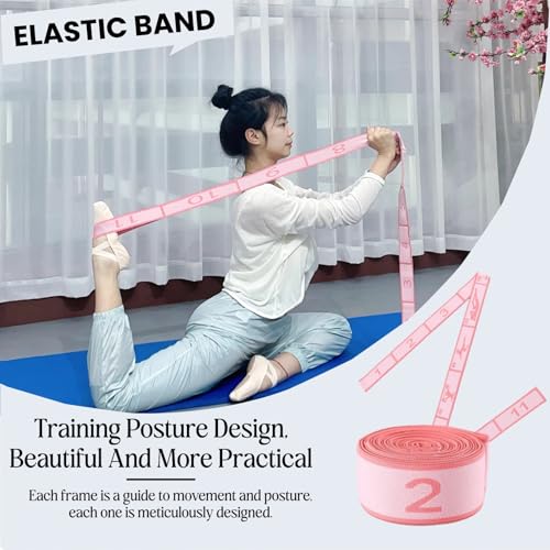 Multi-Loop Stretch Band - Yoga, Pilates, Ballet, and Physical Therapy Stretching Strap for Flexibility, Leg Stretching, and Exercise - Durable Stretching Equipment - color: Purple - 11 Loops