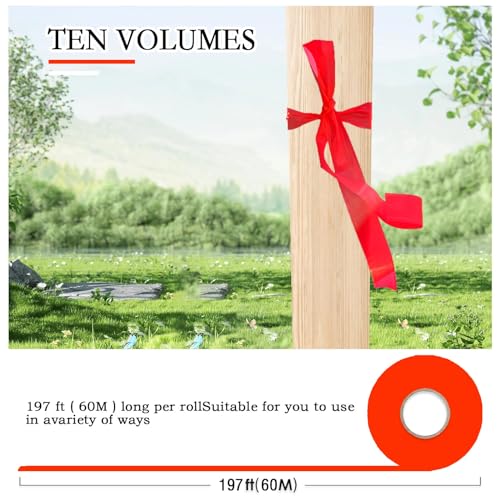 10 Pack Orange Flagging Tape, Non-Adhesive Plastic Ribbon Neon Marking Roll | 1inch*2000ft, Marking Tape for Tree Marking, Hunting, Boundaries and Hazardous Areas,Trail Marking - color: Orange-10pack