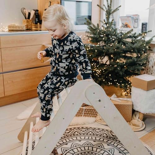 Climbing triangle, Waldorf toys, Climbing triangle, Climbing ladder, Step triangle, Montessori furniture