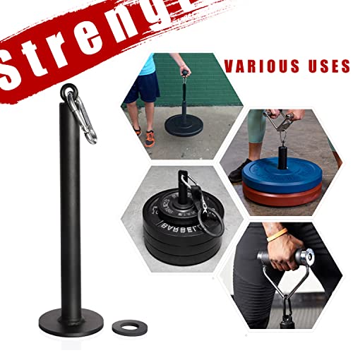 Loading Pin for 1 inch Standard Weight Plates with Carabiner