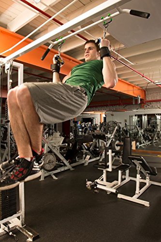 EZ DIP Pull Up Weight Belt plus PULL FORCE Rotating Pull Up Handles - Dipping Belt with Chain plus Dumbbell Hook - Pull Up Weight Belt - Best Dip Belt - 505# Dipping Belt -Belt Squat attachment