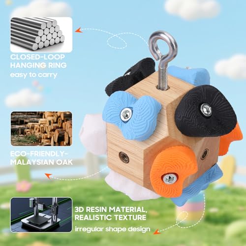 Boulder Block – 12 Solid Resin Climbing Holds on Wood Base, Portable Finger Strength Trainer for Bouldering, Climbing Grip Strengthener with Lanyard