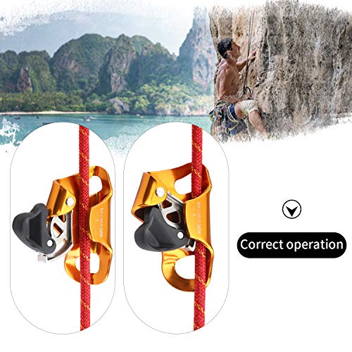 WILDKEN Rock Climbing Chest Ascender Climbing Mountaineering Tree Arborist | Rappelling Gear Climbing Equipment Rope Clamp for 10-13MM Rope - color: Orange