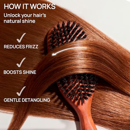 100% Pure Calcutta Boar Bristle Hairbrush for Natural Healthy Hair, Stiff Bristle, Made in Germany's Black Forest - size: Calcutta