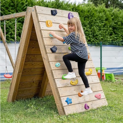 TOPNEW Climbing Holds for Kids, Rock Wall Holds with Hardware - Climbing Rocks for Indoor Outdoor Playground Climbing Wall (24 Pcs) - style: 24 Pcs
