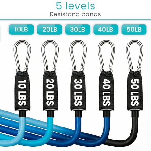 Vive Resistance Band Set (11 PCS) (With App) - Versatile Exercise Tubes with Wide Handles, Workout Poster, & Door Anchor - Adjustable 10-50 LB Tension for Full Body Home Fitness & Rehab -for Men/Women
