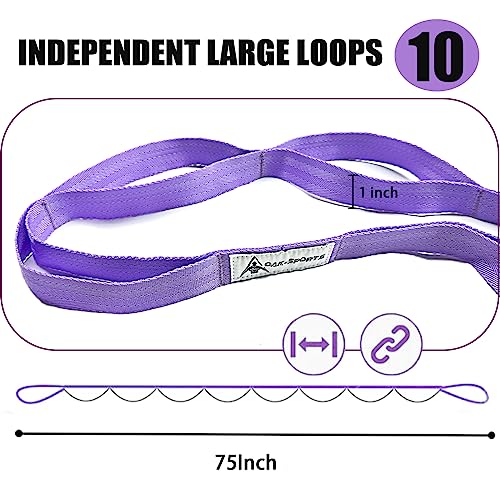 Stretching Strap Yoga Strap with Loops, Stretch Straps for Physical Therapy, Non-Elastic Exercise Strap for Pilates, Dance and Gymnastics with Workout Guide - color: Purple+Purple