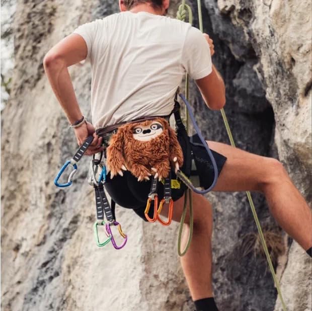 Chalk Bag for Rock Climbing - color: sloth