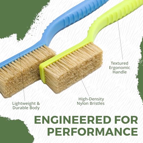 Rock Climbing Brush, 2-Pack Boar Hair Hold Cleaning Brushes | Natural Boar Hair Bristles, Ergonomic Handle, Indoor & Outdoor Holds, Compact Travel Size, Green & Blue Set