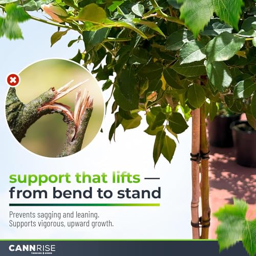 Anchor Bands for Trellising – 140-Pack 16 cm/ 6.3 Inch Rubber Vine Ties, UV-Protected Bands: Grapevines, Trees & Climbing Plants – Tool-Free Loop-and-Anchor Design for Install, Weatherproof - size: 140 pack / 6.2"