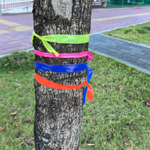 2 Pack Green Flagging Tape, Non-Adhesive, 1"*294ft | Plastic Ribbon Neon Marking Roll, Marking Tape for Tree Marking, Hunting, Boundaries and Hazardous Areas,Trail Marking - color: Green-2pcs