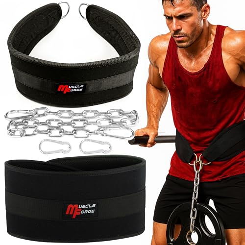 Weighted Dip Belt, Weight Lifting Pull Up Belt up to 530 lbs for Weighted Pullups with Chain and Carabiner, for Men, Strength Training, Bodybuilding