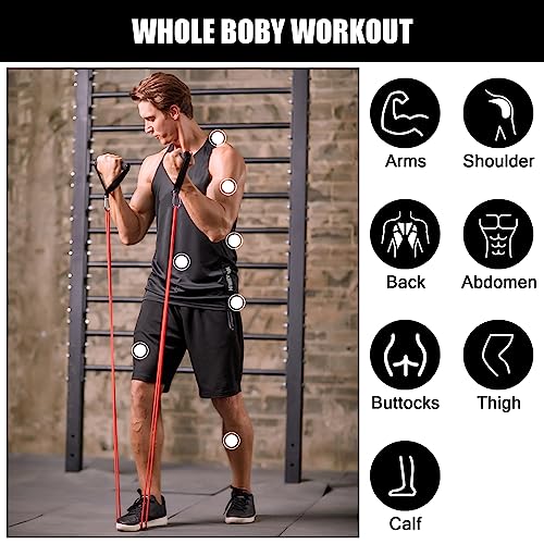 Odoland 5 Packs Pull Up Assist Bands, Pull Up Straps, Resistance Bands with Door Anchor and Handles, Stretch Mobility, Powerlifting and Extra Durable Exercise Bands with eGuide