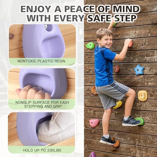 TOPNEW Climbing Holds for Kids, Rock Wall Holds with Hardware - Climbing Rocks for Indoor Outdoor Playground Climbing Wall (24 Pcs) - style: 24 Pcs
