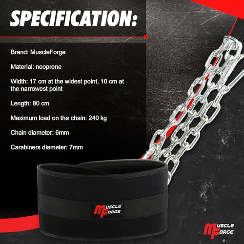Weighted Dip Belt, Weight Lifting Pull Up Belt up to 530 lbs for Weighted Pullups with Chain and Carabiner, for Men, Strength Training, Bodybuilding