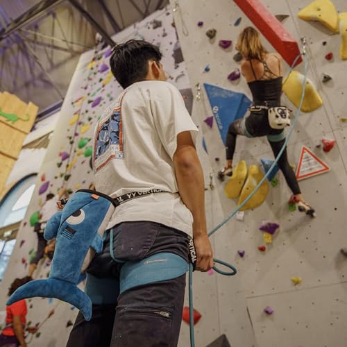 YY Vertical Rock Climbing Chalk Bags - style: Shark