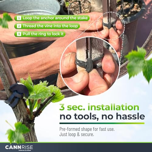 Anchor Bands for Trellising – 140-Pack 16 cm/ 6.3 Inch Rubber Vine Ties, UV-Protected Bands: Grapevines, Trees & Climbing Plants – Tool-Free Loop-and-Anchor Design for Install, Weatherproof - size: 140 pack / 6.2"