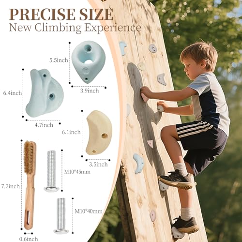 Premium Resin Rock Climbing Holds for All Ages, Large Training Rock Climbing Wall Grips Indoor/Outdoor, Rock-Like Texture Climbing Wall with Mounting Hardware - color: 40 Pcs