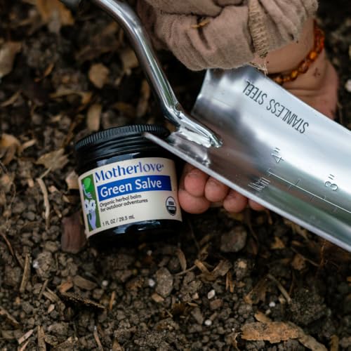 Motherlove Green Salve (1 oz) | Family-Friendly Outdoor Adventure Ointment to Soothe Skin -- USDA Organic