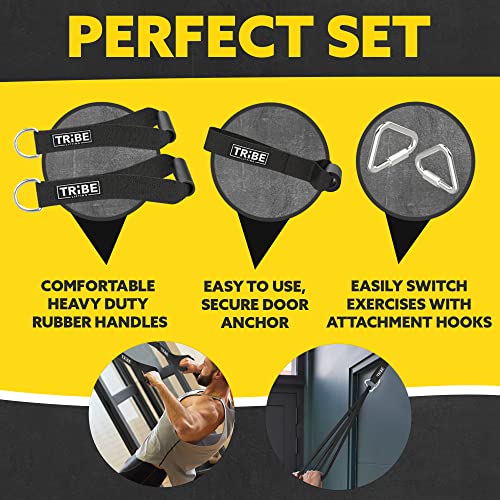 Long Resistance Bands Set, 5 Pull Up Assistance Bands for Working Out | 5 resistance levels, natural latex construction, exercise bands for strength training, stretching and physical therapy - color: Black 2