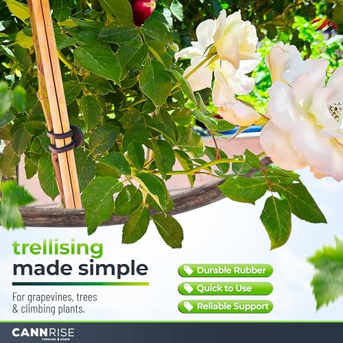 Anchor Bands for Trellising – 110-Pack 5 cm/1.96 in Rubber Vine Ties, UV-Protected Bands: Grapevines, Trees & Climbing Plants – Tool-Free Loop-and-Anchor Design for Install, Weatherproof - size: 110 pack / 1.96"