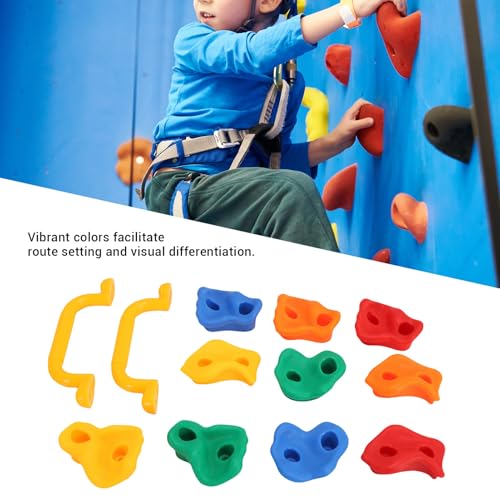 Rock Climbing Holds, Rock Wall Holds Climbing Grips Kit for Kids Indoor Outdoor, layground Play Set, Includes 2 Handles and Mounting Hardware