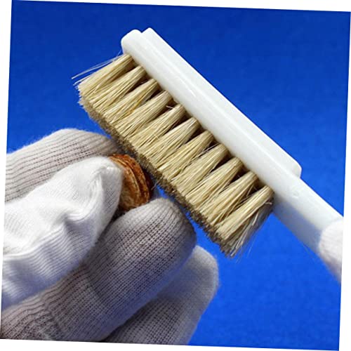 SOLUSTRE 2Pcs Climbing Brush Set Boar Hair Bristles and Sturdy Handle Rock Cleaning Tool for Bouldering and Chalk Removal