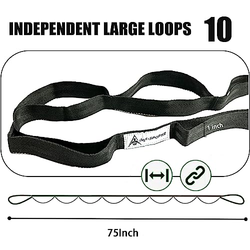 Stretching Strap Yoga Strap with Loops, Stretch Straps for Physical Therapy, Non-Elastic Exercise Strap for Pilates, Dance and Gymnastics with Workout Guide - color: Purple+Black