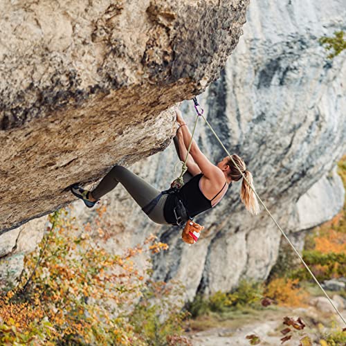 YY Vertical Rock Climbing Chalk Bags - style: Dog (Shiba)