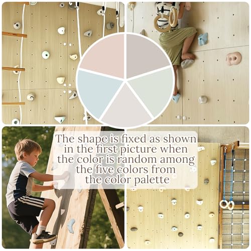 Premium Resin Rock Climbing Holds for All Ages, Large Training Rock Climbing Wall Grips Indoor/Outdoor, Rock-Like Texture Climbing Wall with Mounting Hardware - color: 20 Pcs