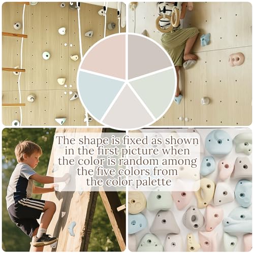 Premium Resin Rock Climbing Holds for All Ages, Large Training Rock Climbing Wall Grips Indoor/Outdoor, Rock-Like Texture Climbing Wall with Mounting Hardware - color: 40 Pcs
