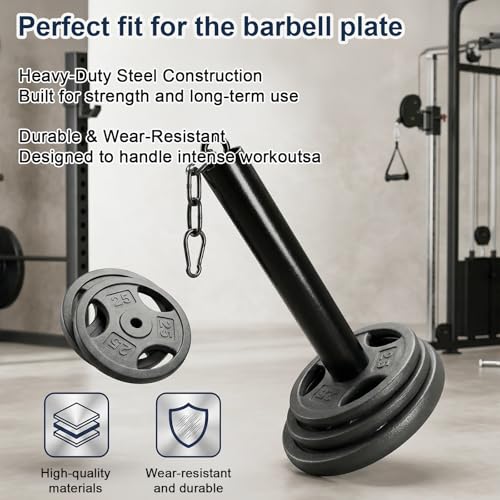 Heavy Duty Weight Loading Pin with Carabiner, Compatible with 2" Olympic Weight Plates, for Cable Pulley LAT Pulldown System, Home Gym Strength Training Equipment