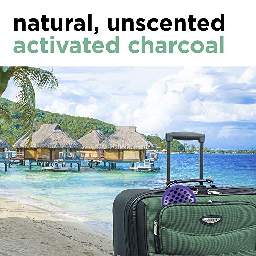 Remodeez Activated Charcoal Shoe Deodorizer, Green, 1 Pair